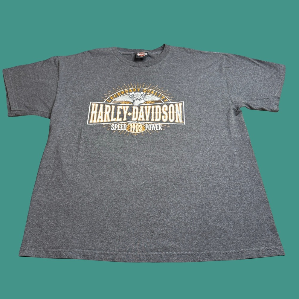 Harley Davidson Black Hills South Dakota T Shirt XL Gray Biker Graphic